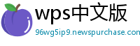 wps中文版